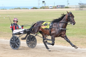 Horatius Speculo adds Burnie Cup to growing trophy cabinet