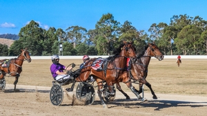 Maebee sizzles in Halwes Free For All