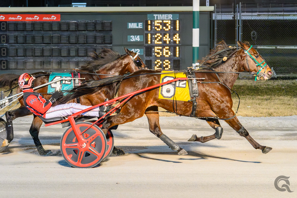 A Blue Million shows steel in chilly Dover Open win