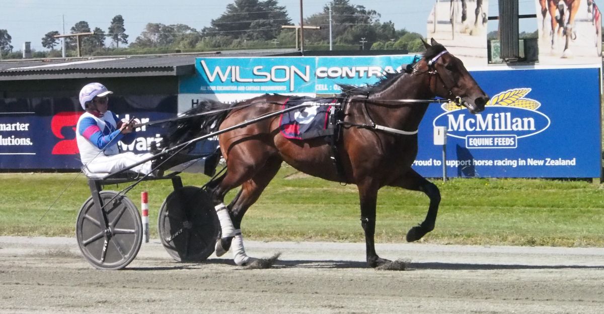 Ah Dinnae Ken a mare on the rise