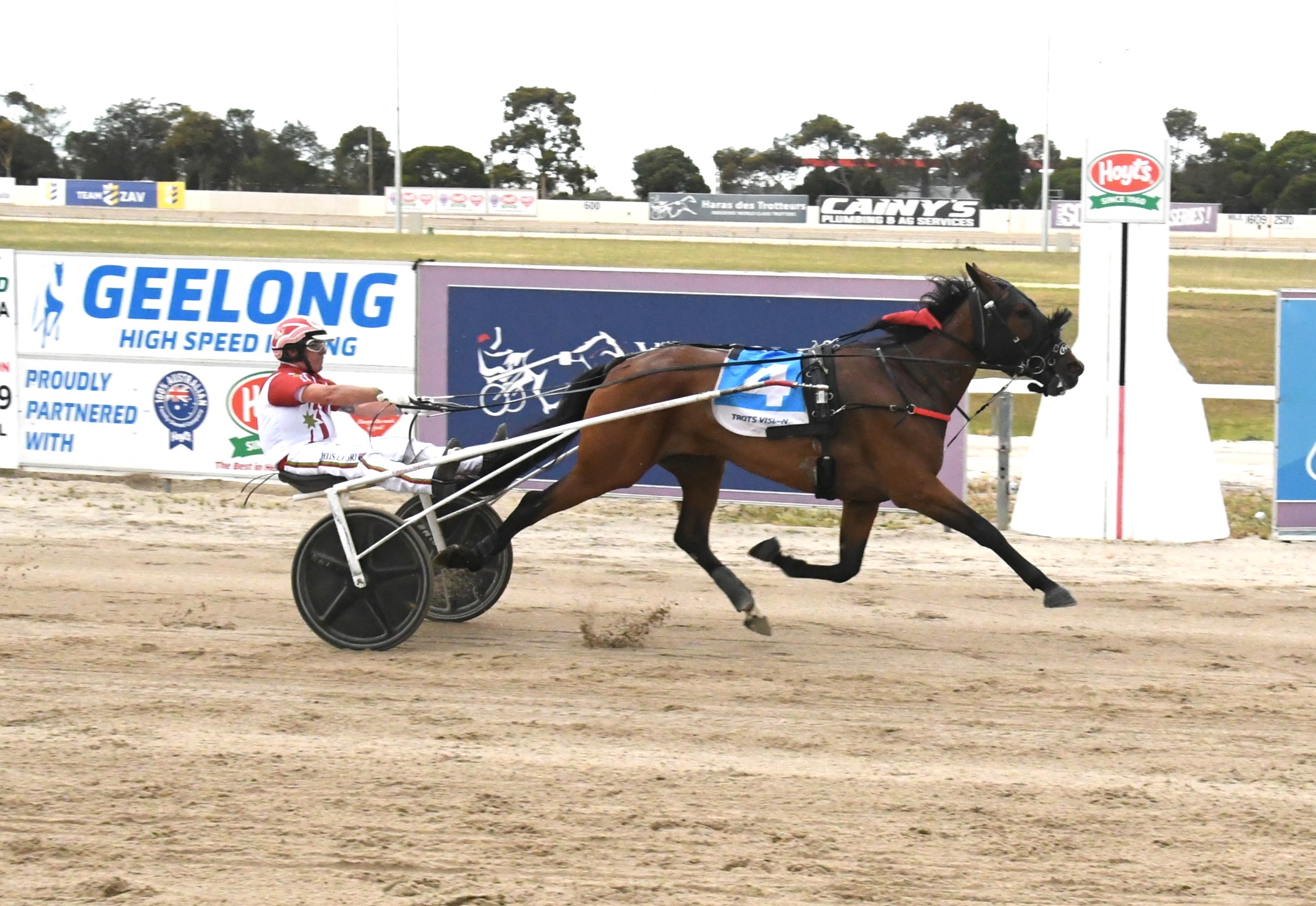 Aldebaran Park stallions end season on winning note