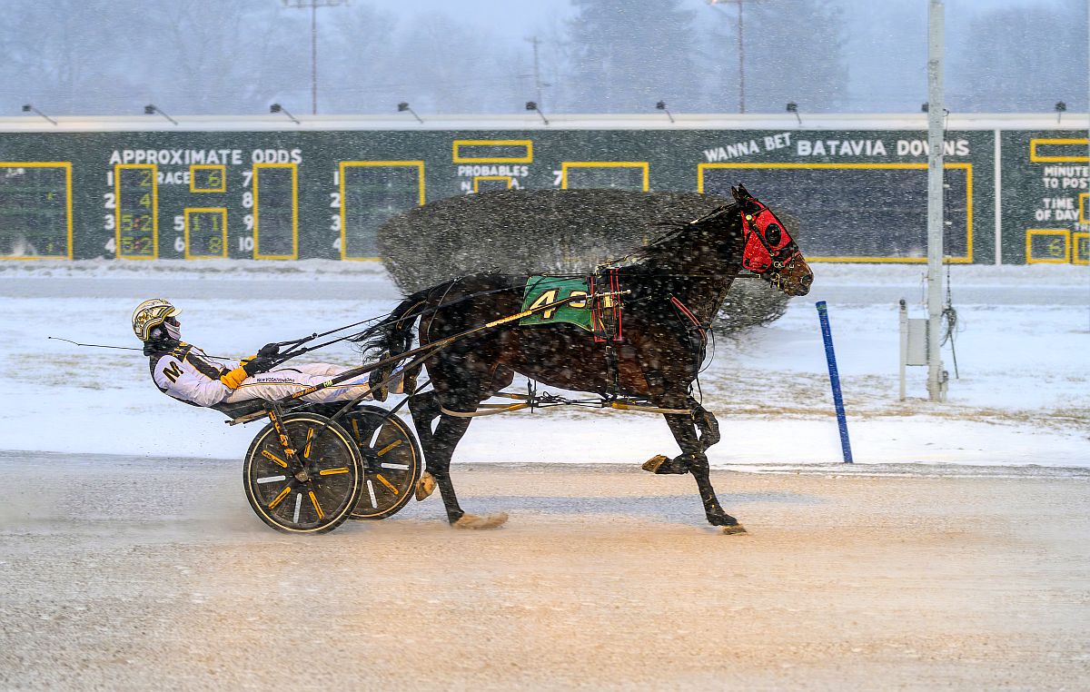 Monti and Cummings win half the card at Batavia Downs