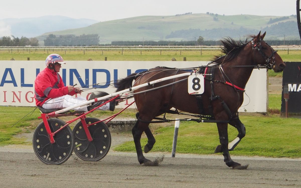 Arma Forest trined by Brett Gray