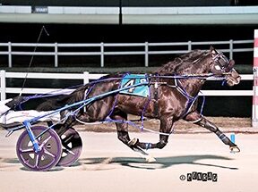 Front running masterclass from Better Is Nice