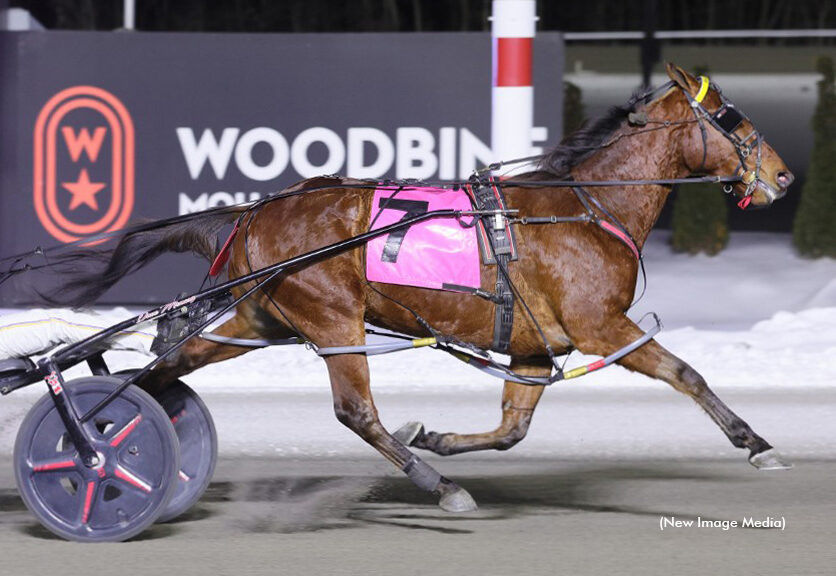 Menary hits $30 million with Mohawk Open sweep