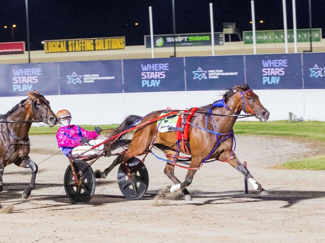 Bulletproof Boy stuns the stars in Bendigo Cup