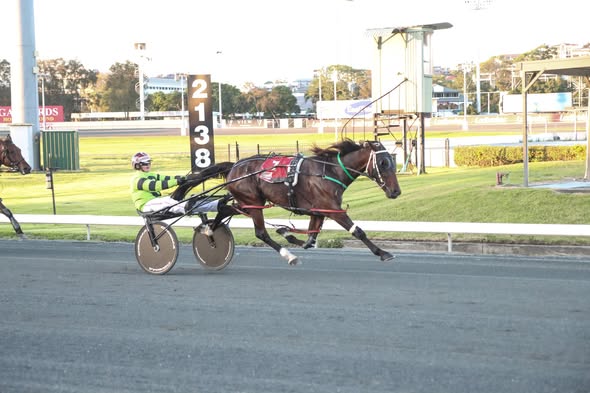 Cheerstolou roars home in a dazzling 25.8 seconds final quarter