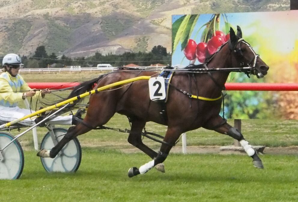 Cinderella star of Central ball