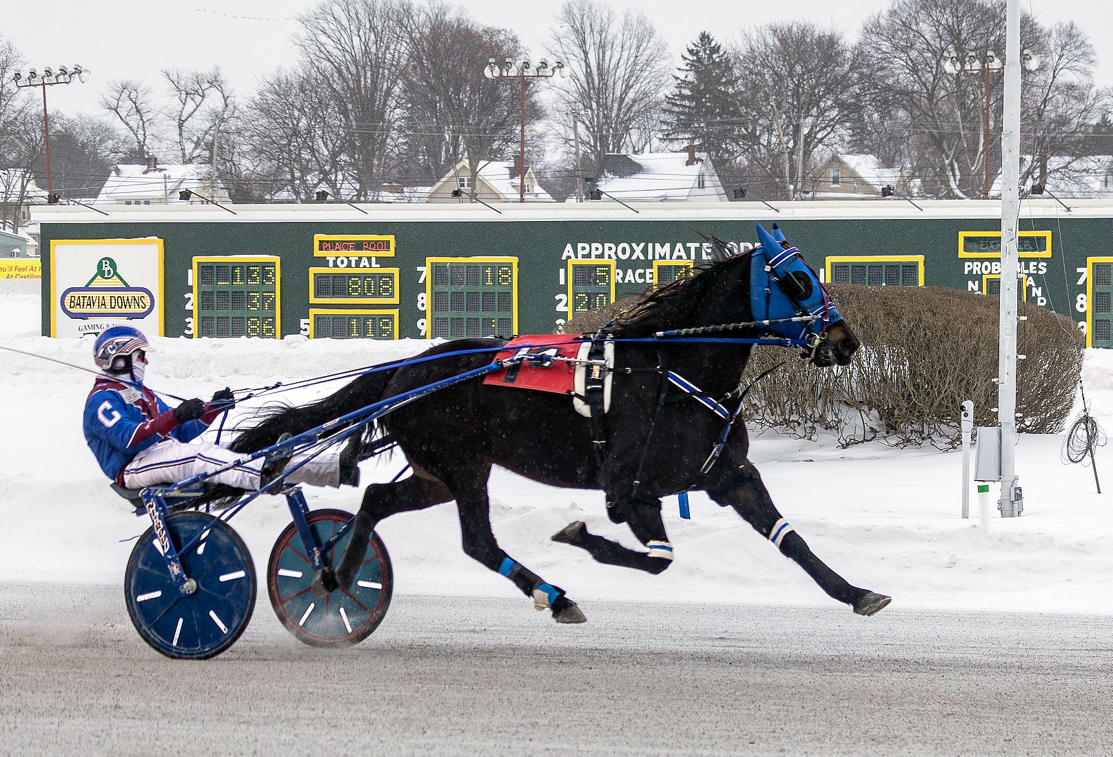 Cold, windy day no match for Crazy Fool at Batavia