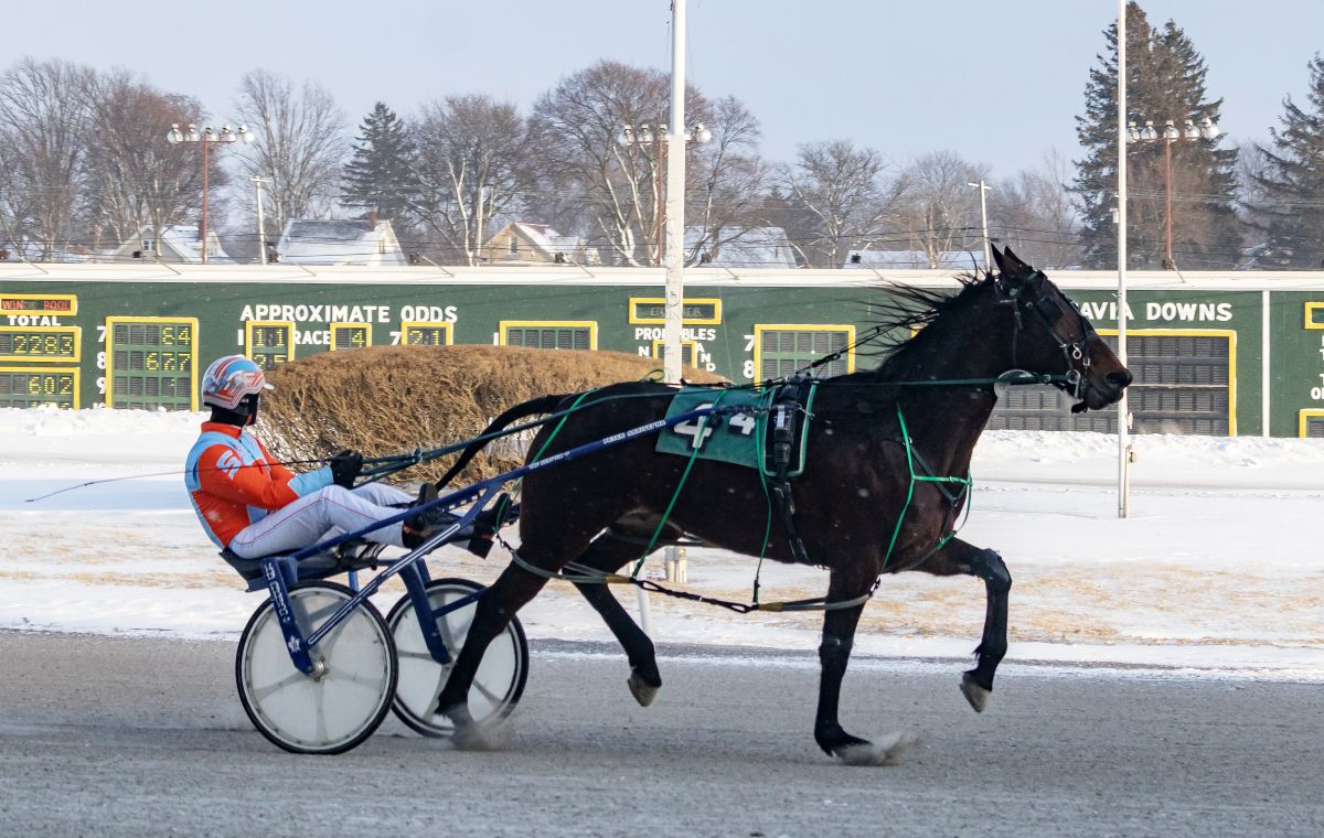 Features run before snow halts Batavia card