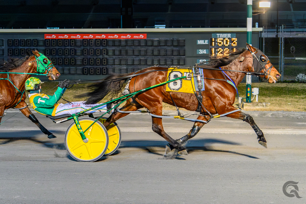 Pocket ride delivers Fillies and Mares Open victory