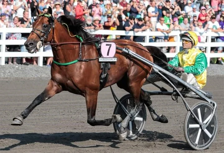 Prix D’Amerique beckons in late January