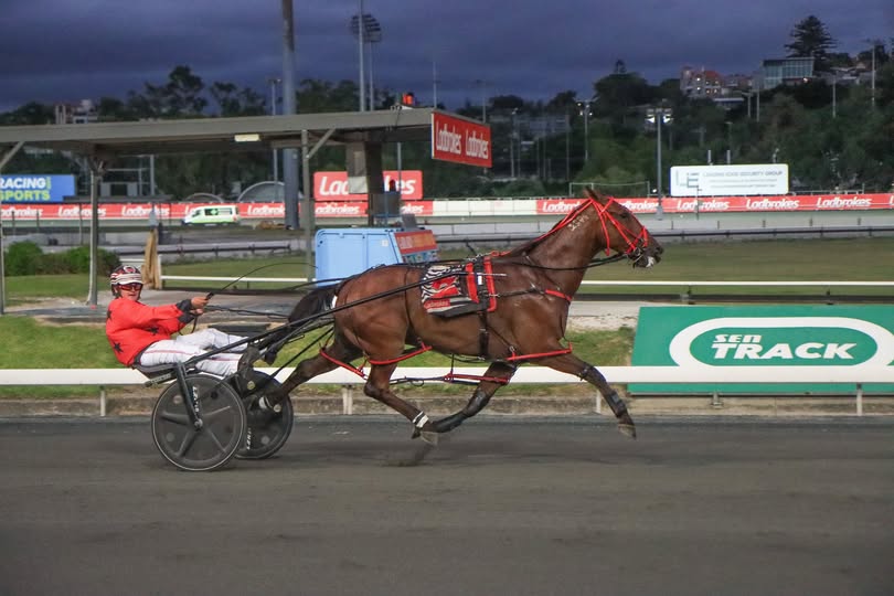 Hot and Treacherous burns them off