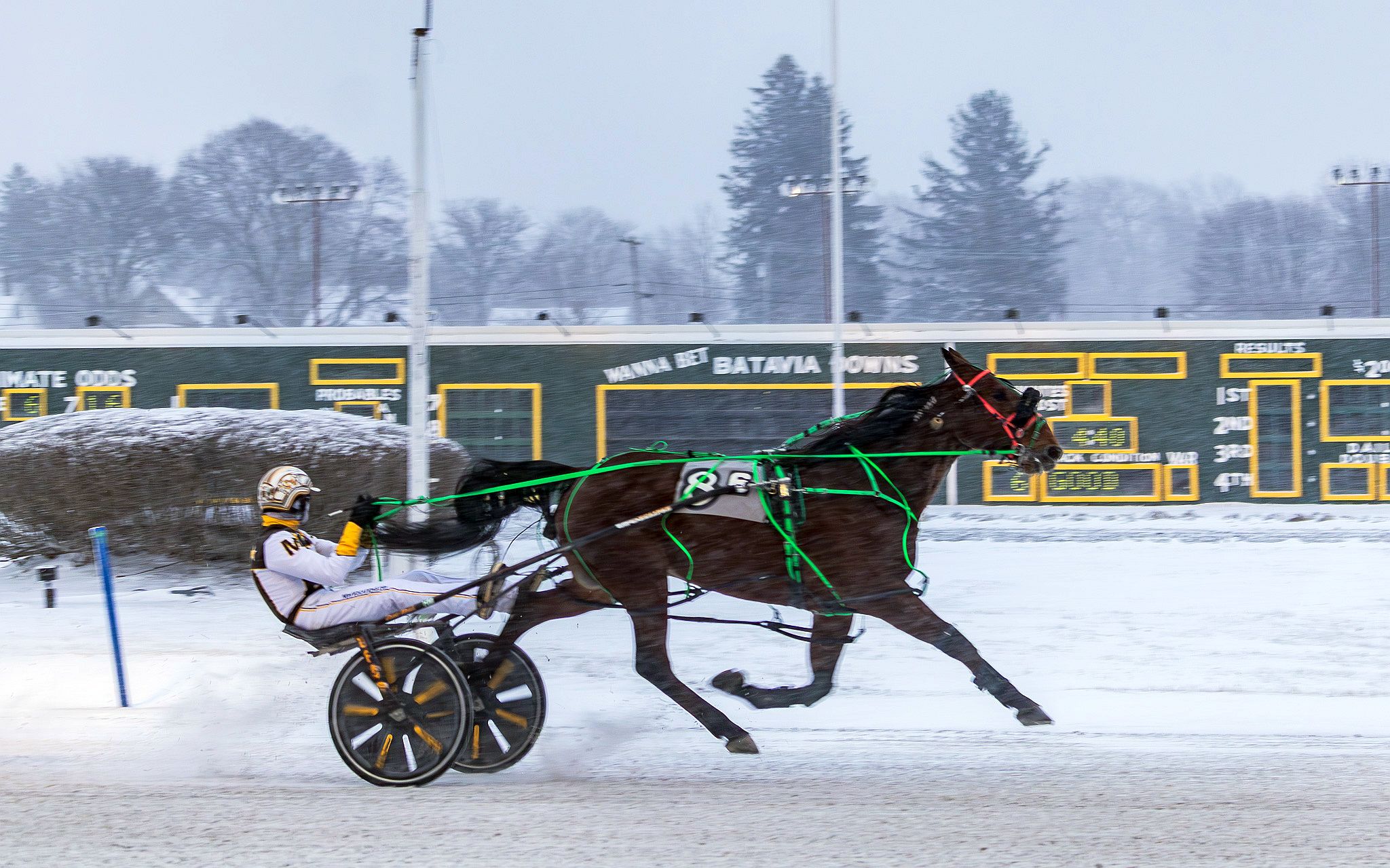 Beckwith bags five as snow slams the track