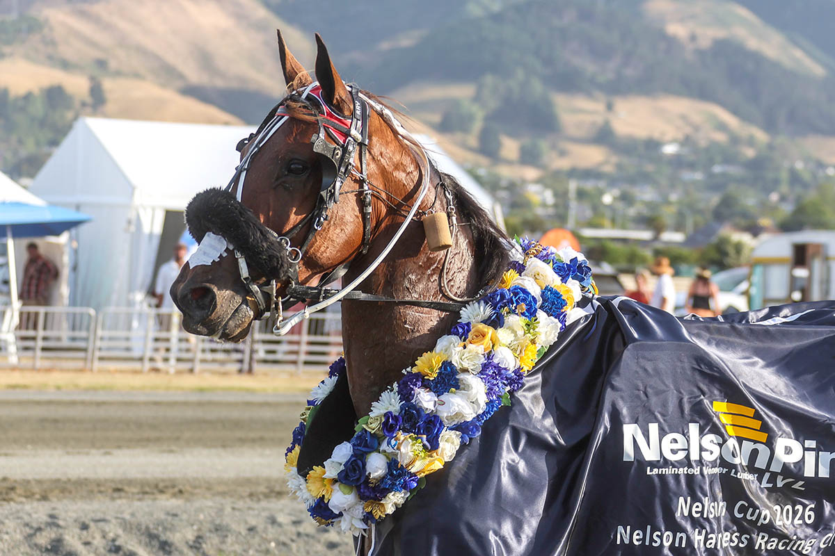 Cambridge and Nelson features in review