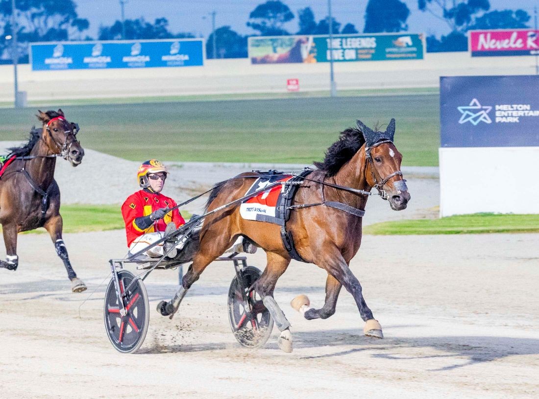 Jilliby Ballerini is all class in Cup Win