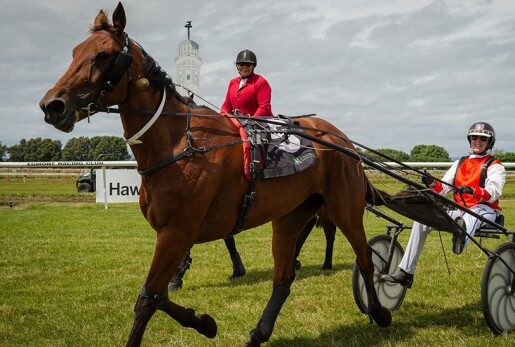 Coppins in dreamland after 5 win Hawera haul