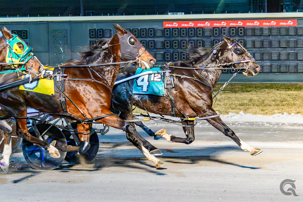 Muskateer Hanover upsets rivals