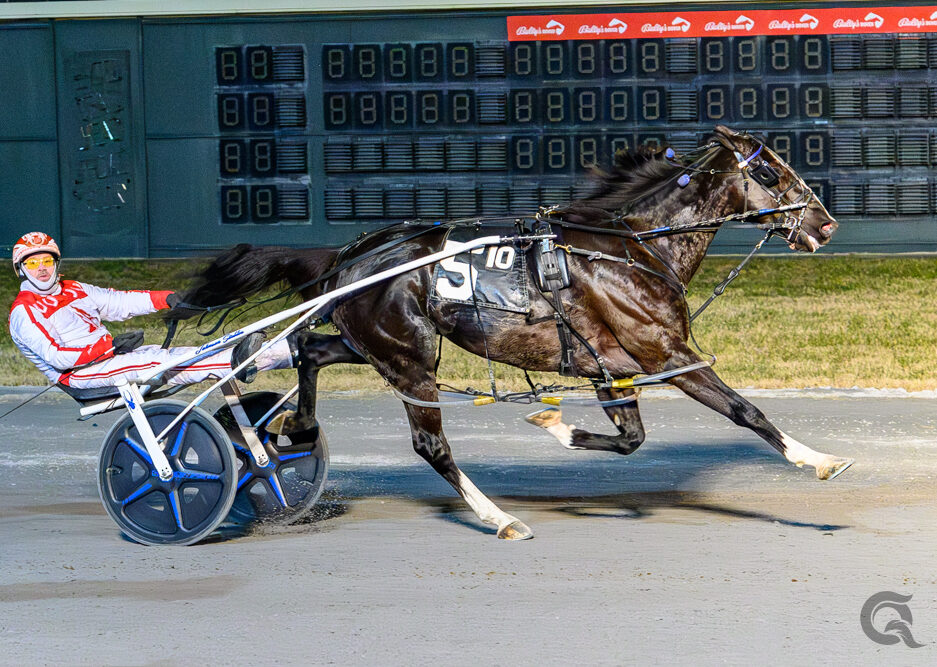 Muskateer Hanover scores Dover double