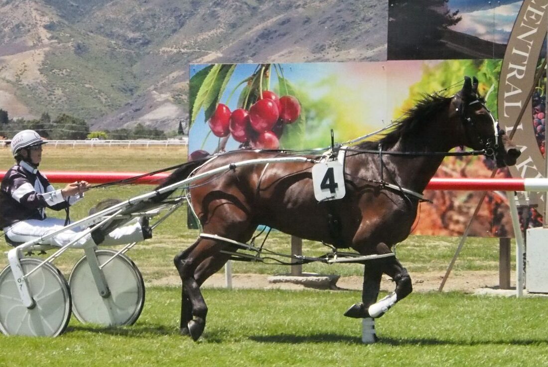 The mighty flying Fleet’s Pocket