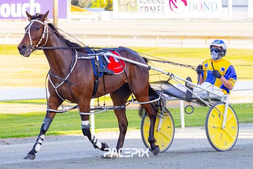 My Watchlist continues his winning form