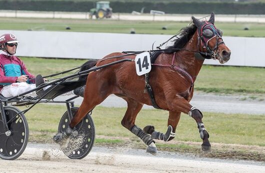 Racing days are over for One Over All