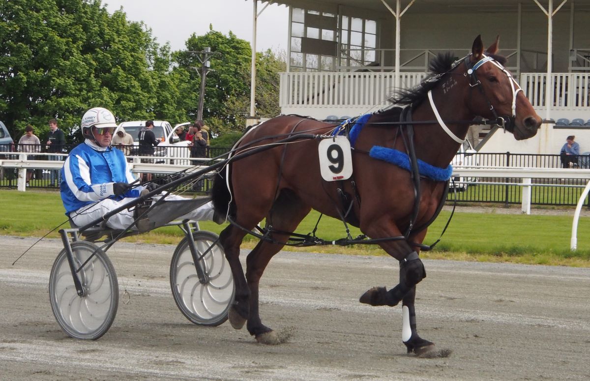 Turbo charged Pinseeker wins Central Otago Cup