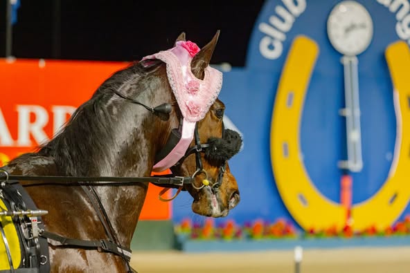 Quatro Moth returns in style