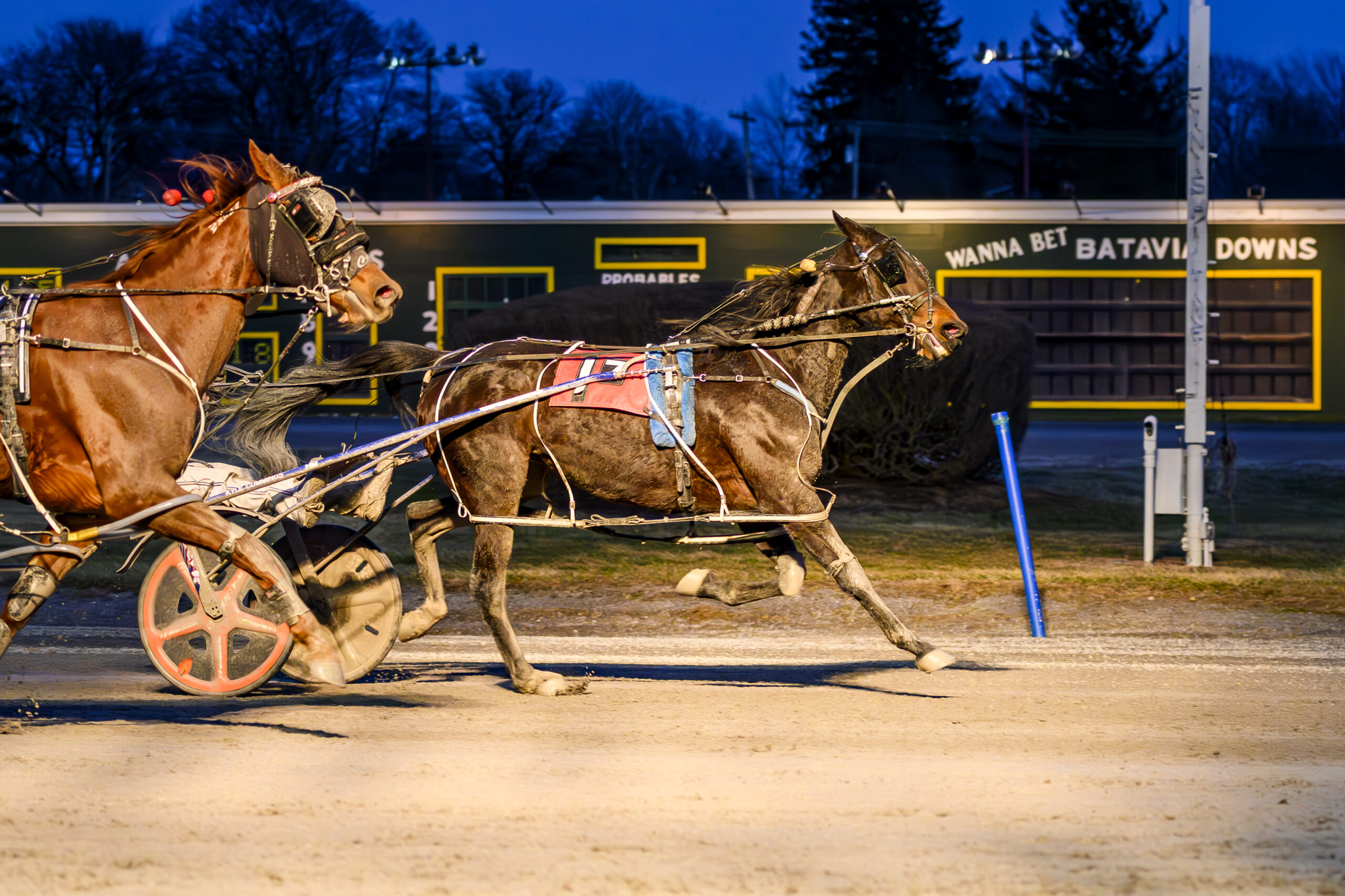 Rocknroll Shelli strikes on opening day