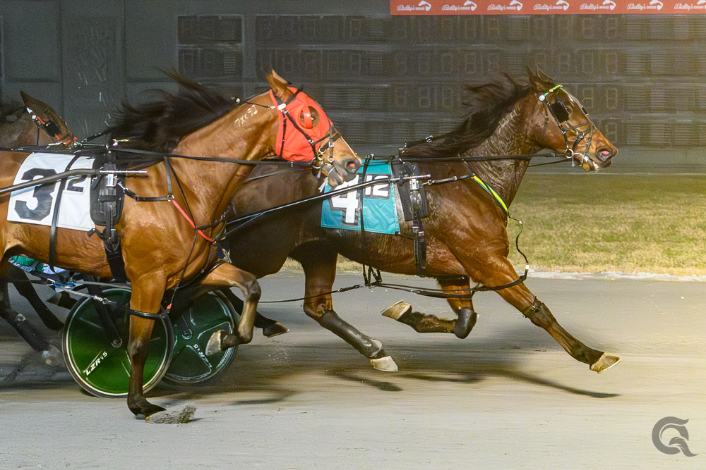 Speed Away lives up to his name