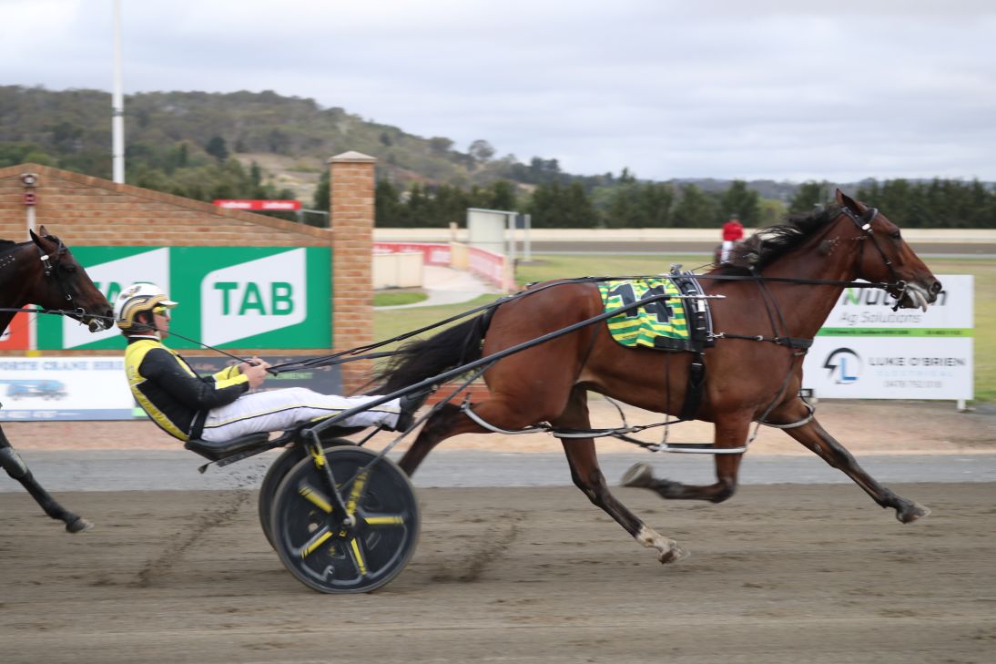 Swayzee back with a vengeance in Goulburn Cup