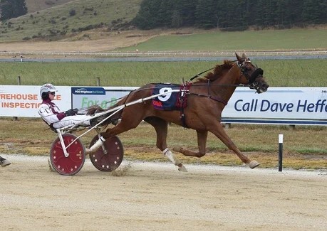 First New Zealand winner for Timoko