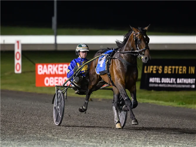 Trotters races moving ahead in New South Wales