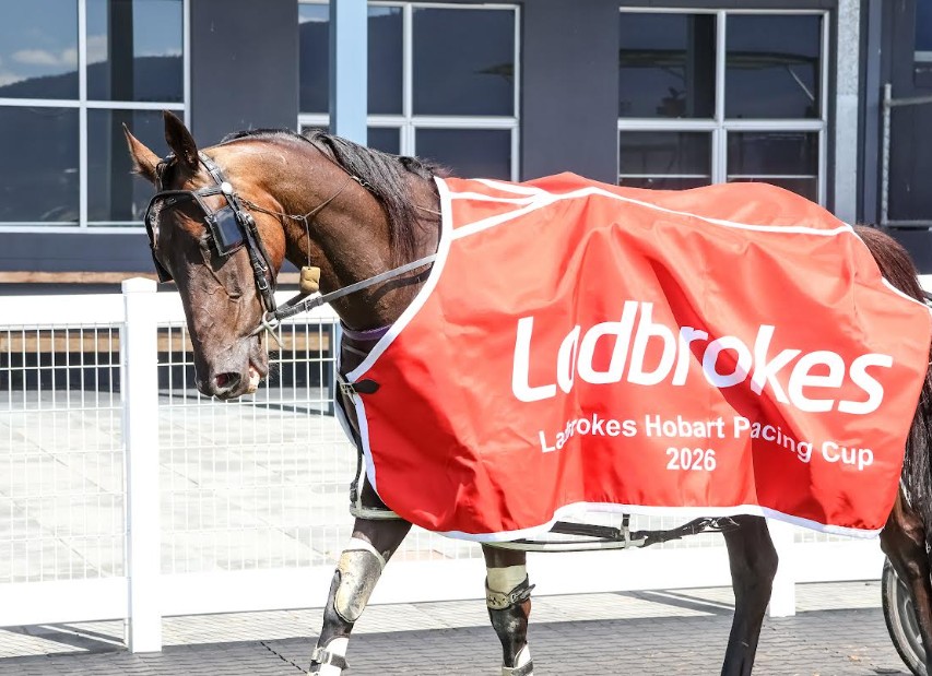 Triedtotellya – Tasmania’s new glamour boy with a story to match