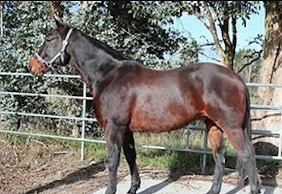 Thomas team revives forgotten pacer Typhoon Tere