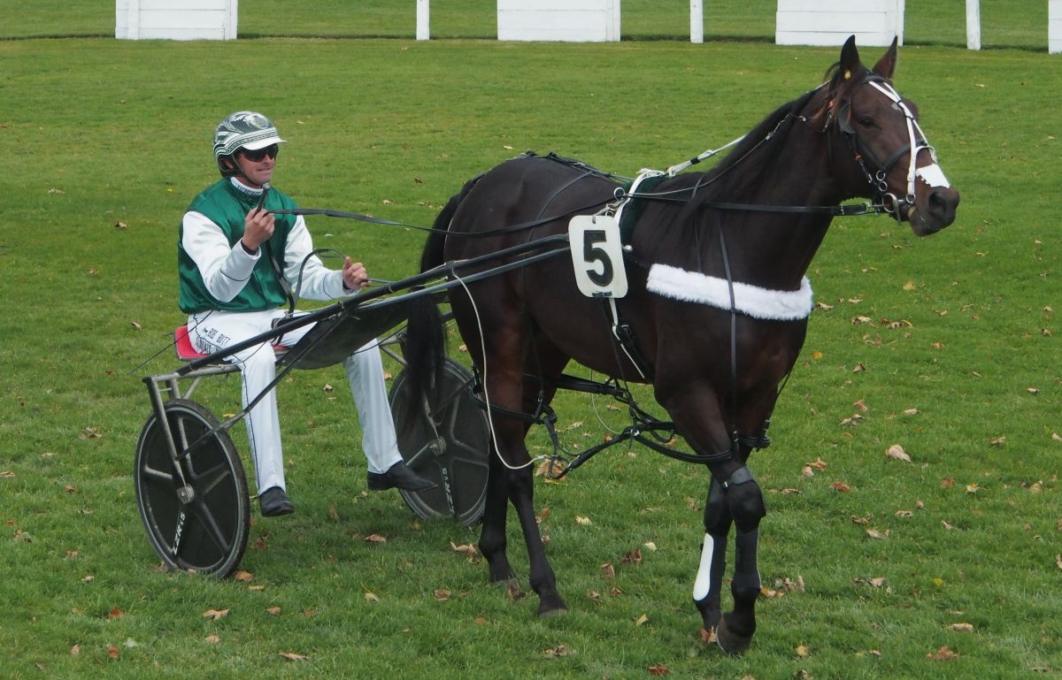 Ukraine back winning again