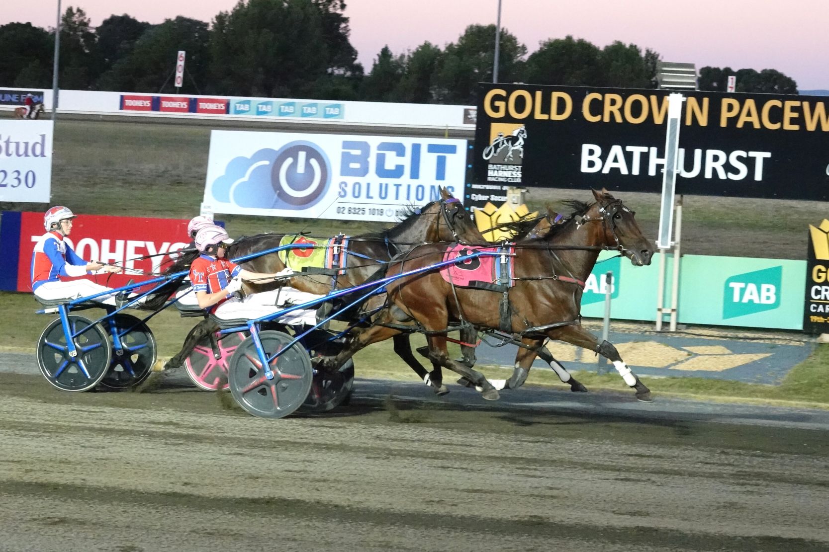 Wheres The Gold in surprise Bathurst Oberon Cup success
