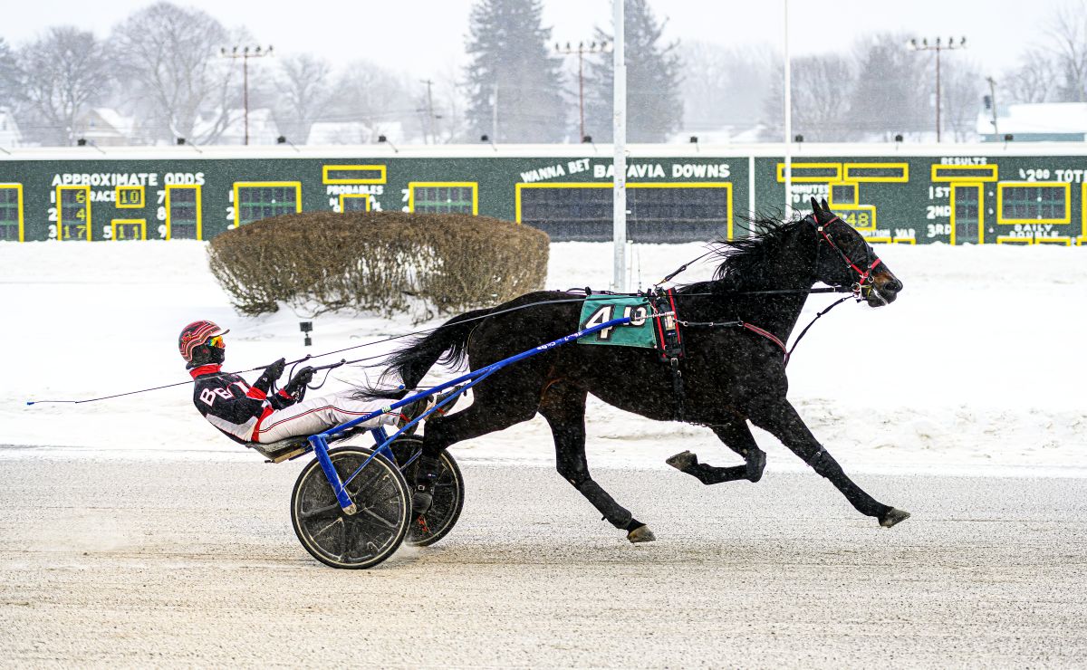 “Wild Bill” tames trotters in Tuesday topper