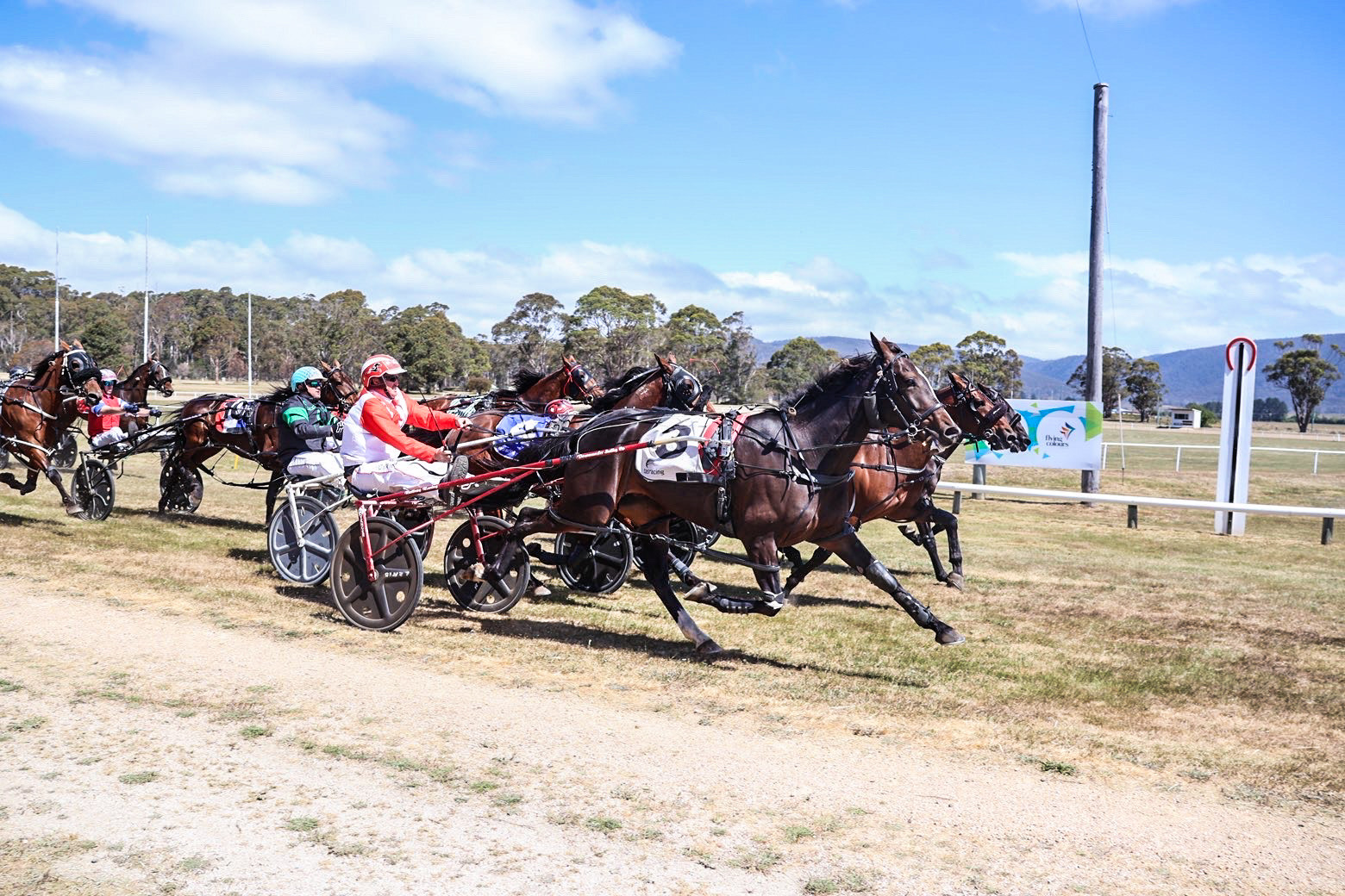 Neon gets St Marys Cup win for Adam Rattray