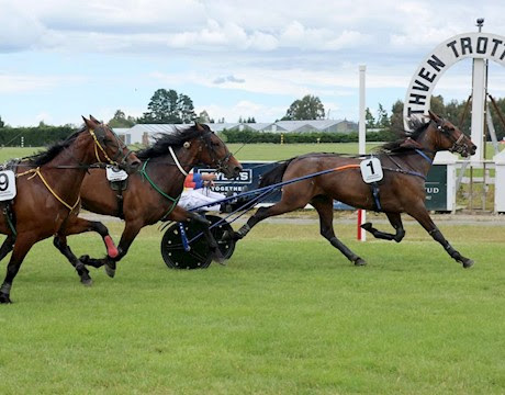 Eight lot gavelhouse auction on now