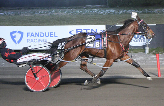 Lochlan Hanover scores big in Meadowlands debut