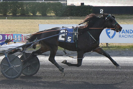 Bronzer upsets high end Trot