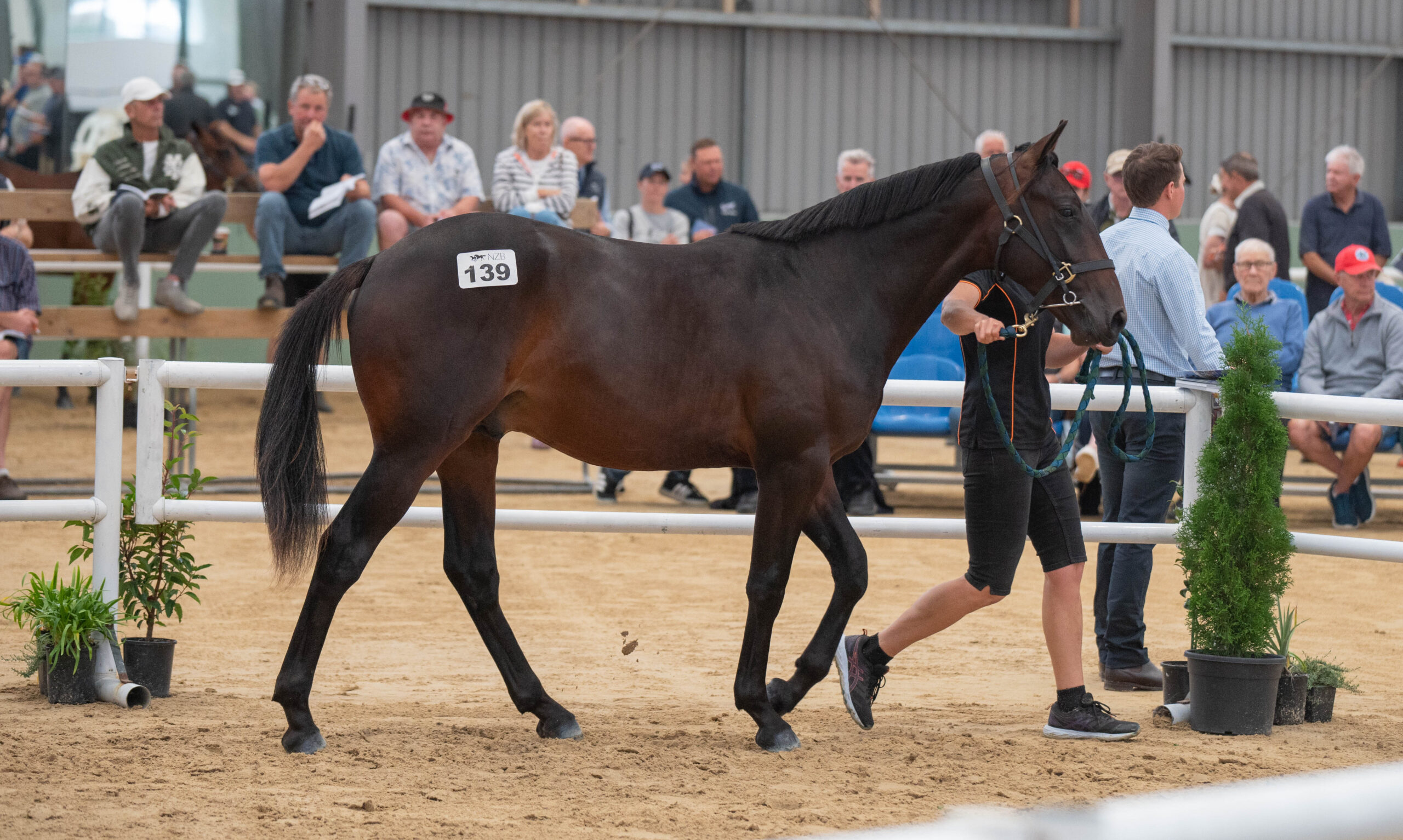 Smith seeking to retain leading Vendor crown