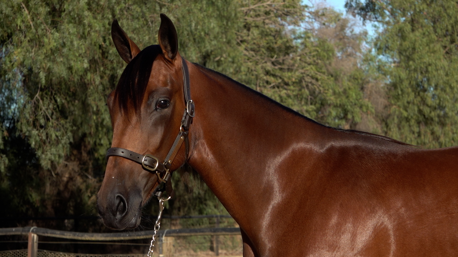 February 2007 was a memorable month for Bruce and Peter 