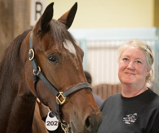 London Classic Sale Series entry deadline March 15th