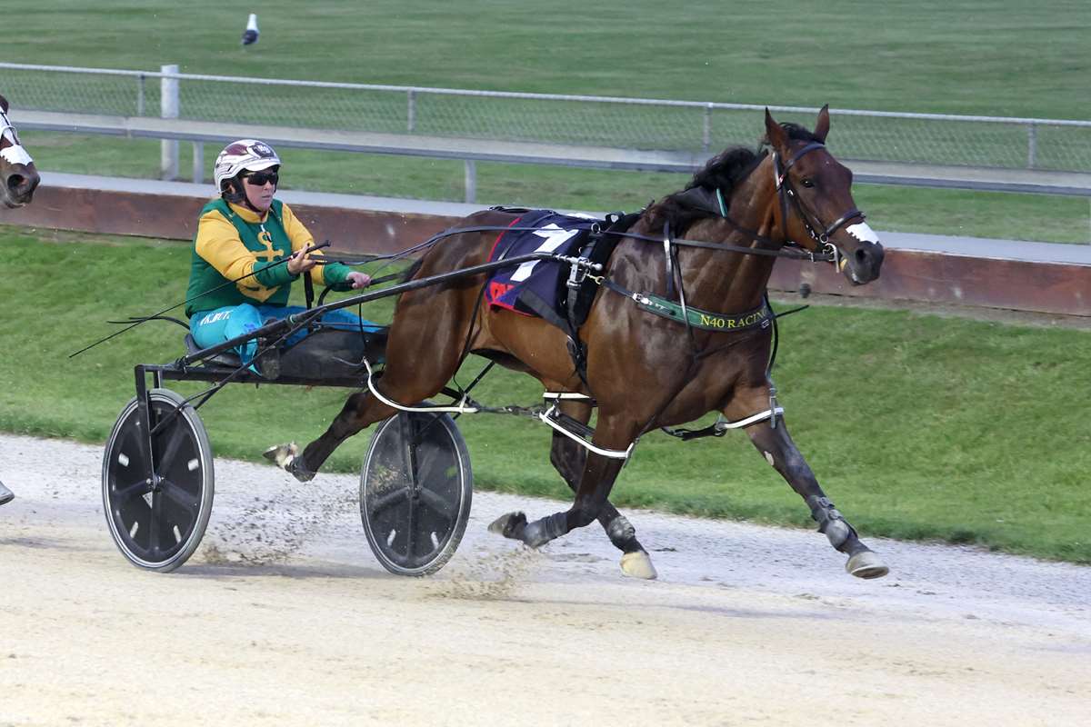 Group One boost for Lather Up ahead of National Yearling Sale