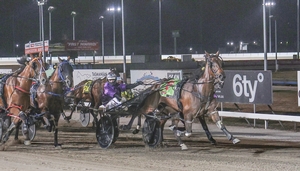 Maebee claims Devonport Cup for Crook