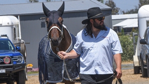 Norton looking for first training win