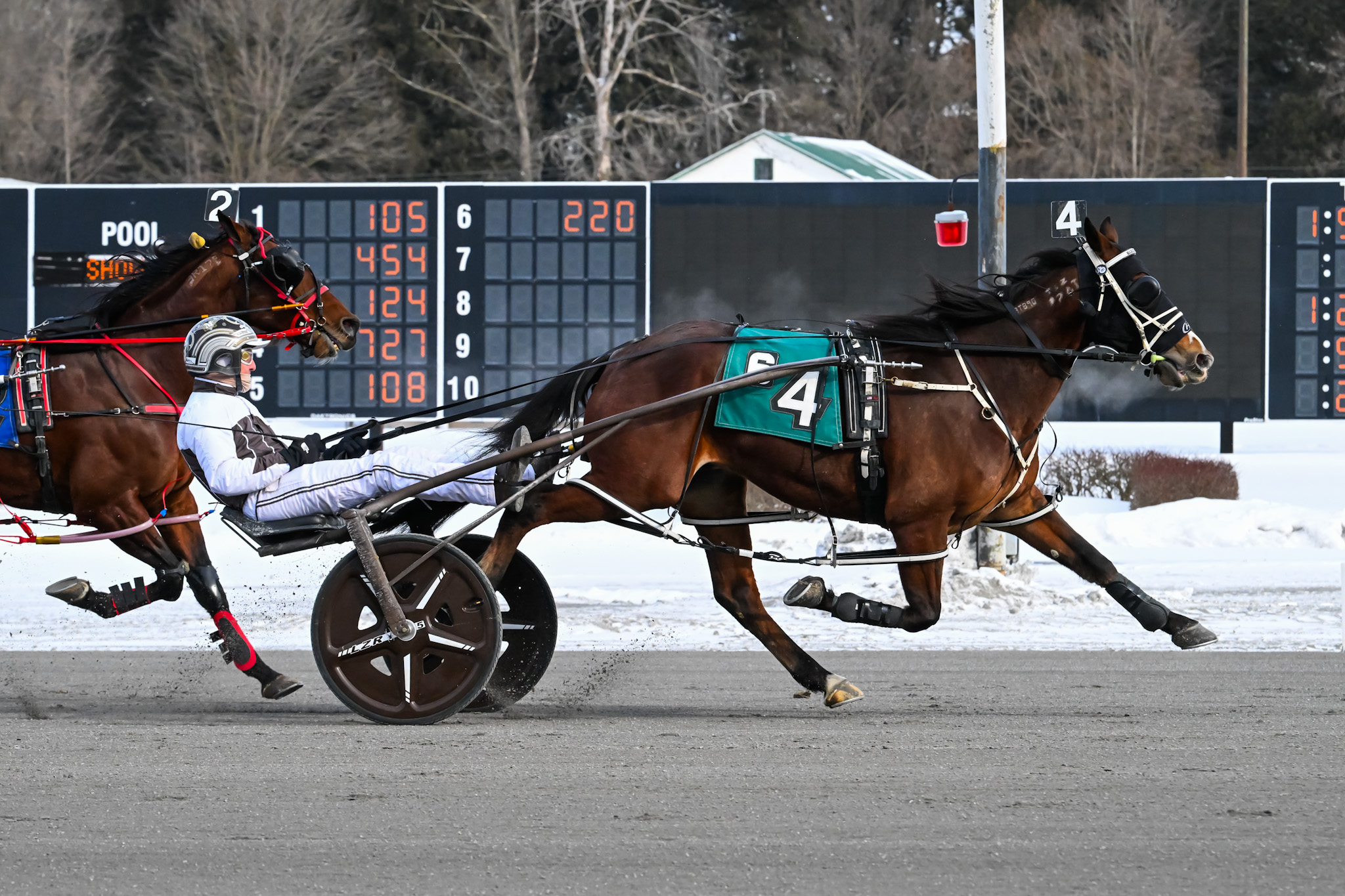 Kiwi invader Blazing Home N sizzles on freezing day
