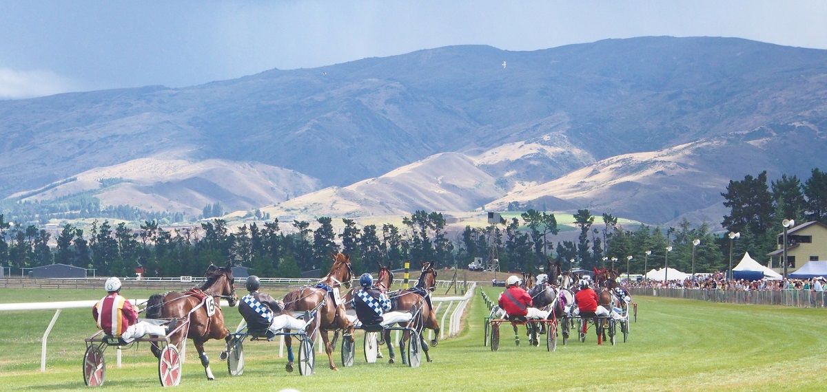 Just Like Jagger brave at Cromwell